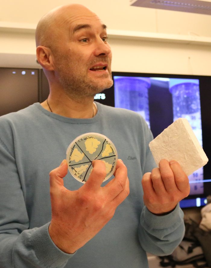 Prof. Dr. Alexander Bismarck
